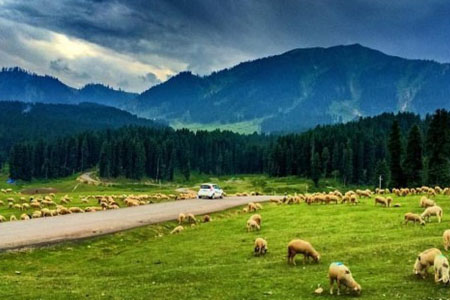 Srinagar