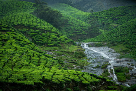 Munnar